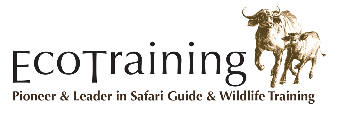 Ecotraining-logo-PNG